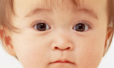 2015年农历8月生女宝宝起名取名姓郑