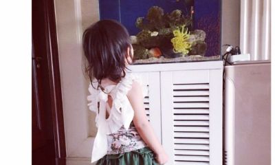 姓袁马宝宝起名取名大全