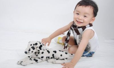 曹姓羊宝宝起名取名宜用字