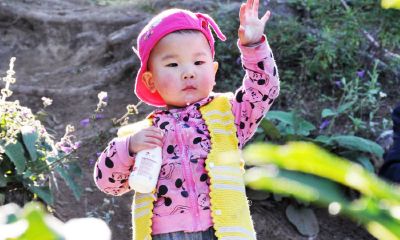 鸡宝宝5月生哩起名取名