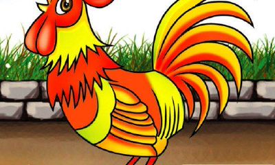 属鸡的今年多大了 2014年属鸡的多大