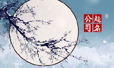 网络科技公司怎么样起名 简洁易记的科技网络公司名称