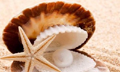 属鸡双子座的最佳配偶