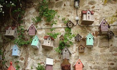 双子座2013年年度运程