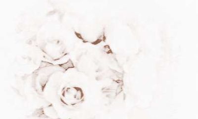 双子座女生对人有好感的表现