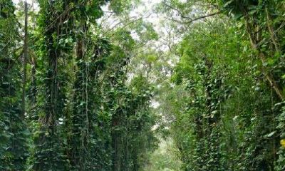 双子座爱情失败的原因