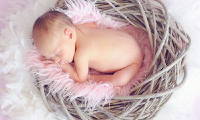 贾姓女宝宝起名