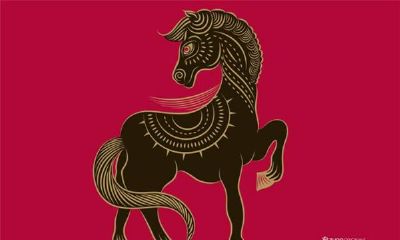 今年属马的财运和运气如何