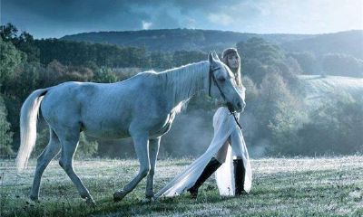 1966年属马人的婚姻