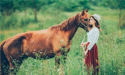 属马的和什么属相不合