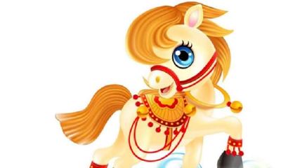 生肖马本命年要注意什么