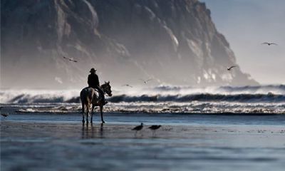 你知道属马人的婚姻与命运吗