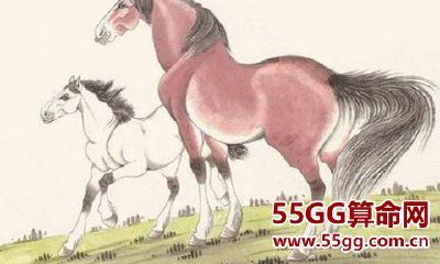 生肖属马的今年运气怎么样