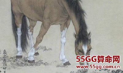 2019年生肖马今年几岁