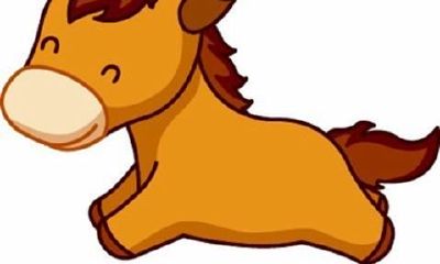 属马的属相婚配表,属马的和什么属相最配