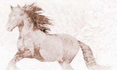 年份和生肖：2014年出生的人生肖属什么？