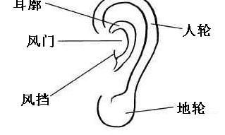 耳朵上长痣有什么寓意