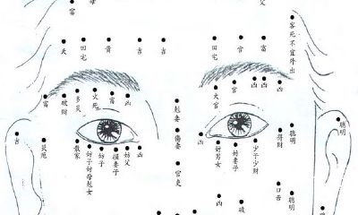 痣相图 痣相同解 男女面部痣相大全