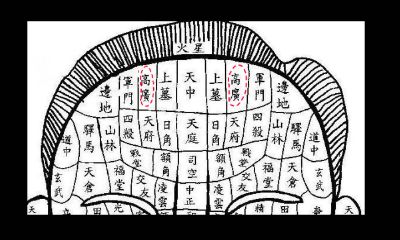 女性高广部位有痣图解