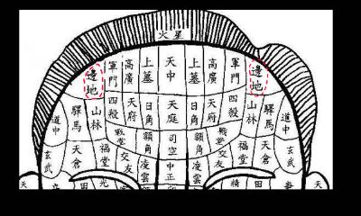 女性边地部位有痣图解