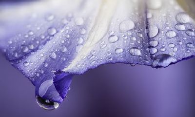 脚上长痣含义如何?分析脚部的痣相特征