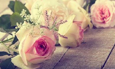 女性面部的痣相都有哪些含义