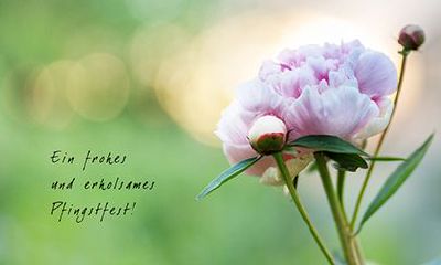 桃花运之剪不断理还乱的是非痣