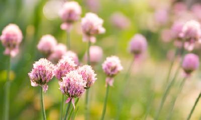 盘点脸颊的活痣