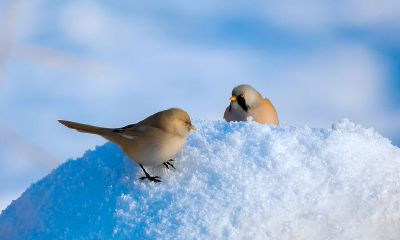 2022年冬季的阳历理发吉日有几天，理发黄道吉日一览