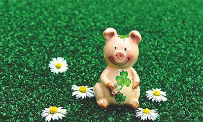 2022年夏季的阳历提车有几天吉日？提新车时要检查哪些方面？