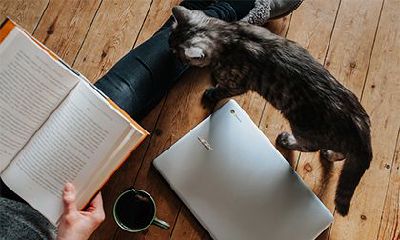 2022年3月有什么黄道吉日吗，重要节日介绍！