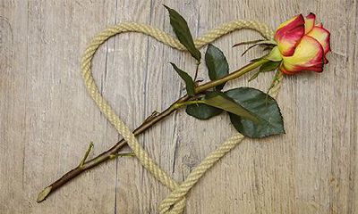 2022年秋季有几天农历的提车黄道吉日？如何判断车新不新？