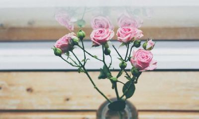 2022年夏季农历的剖腹产吉日一共有少少天？