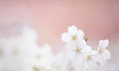 2022年春季的农历剖腹产吉日是什么时候，有几天？