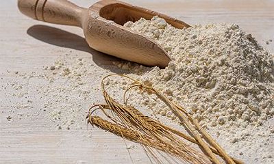 2022年秋季的阳历提车吉日是哪天，一共有几天？