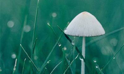 2022年冬季的剖腹产农历吉日，十月到腊月的黄道吉日一览