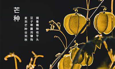 2022年芒种是哪天？描写芒种节气的诗词名句