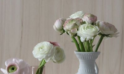 立夏那天生的宝宝起名取名