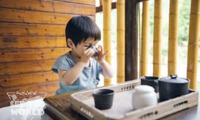 2017姓葛宝宝起名取名