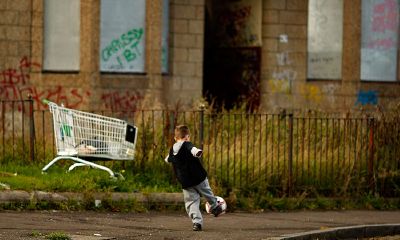 男鸡宝宝四字起名取名大全