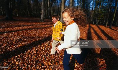 鸡年益字起名取名的宝宝