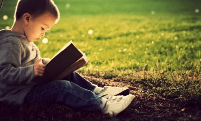 男鸡宝宝起名取名用什么字