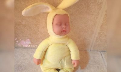 鸡宝宝起名取名字,曾姓