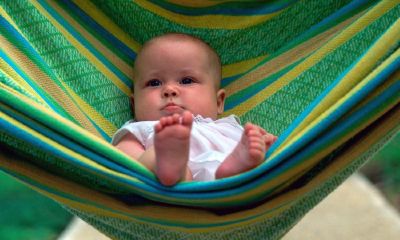 鸡年宝宝施姓起名取名100分