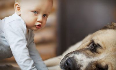 宝宝起名取名2017年5月