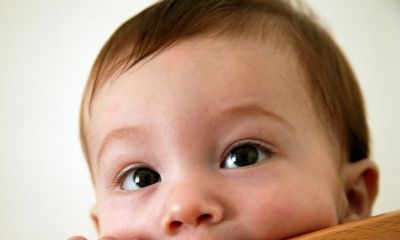 起名取名2017年鸡宝宝杨氏