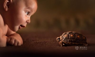 鸡年郭姓女宝宝起名取名