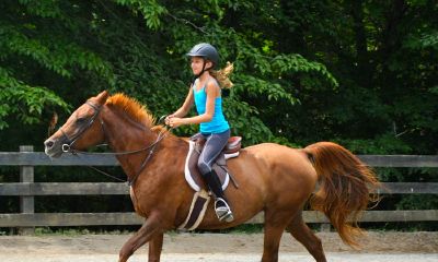 宝宝起名取名男姓冯名加文