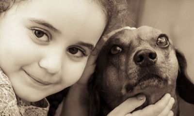 宝宝属鸡起名取名宜用字