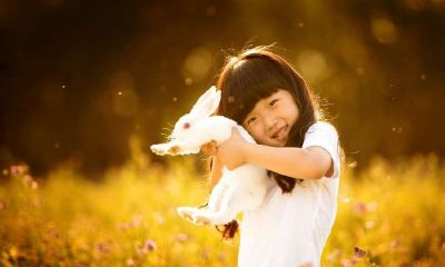 2017新生宝宝起名取名大全